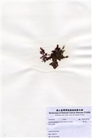 藏品(藍子藻)的圖片